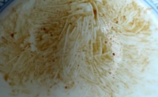 新連載『ごちそうさまのお皿』 - 雑誌『RiCE』WEB版 | キッチン★ボルベールが運営する竹花いち子のホームページ